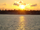 DSC02141.jpg