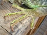 DSC02301.jpg
