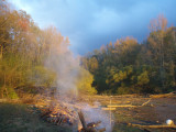 Burning Driftwood.jpg