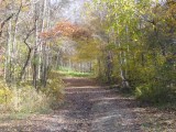P1020390.jpg