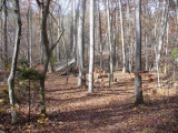 P1020391.jpg