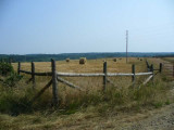 P1000915.jpg