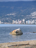 Thrid Beach, Stanley Park