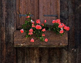 Flower box