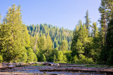 Upper Lewis River, July 20 08