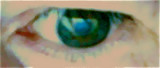 Eye of reason? or Eye of passion?