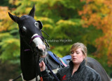 img_5869c.jpg (Eboracum Dream)