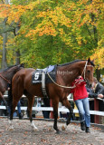 img_5874c.jpg (My Dear Friend)