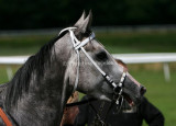 img_6424b.jpg (Aaron's Way)