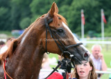 img_6798b.jpg (Finish First)