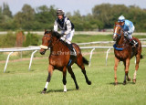 img_6867b.jpg (Mr Martin & Boob's Pressure)
