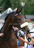 img_9955b.jpg (Tinkerbell)