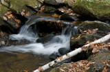 Small cascade on Buffam brook