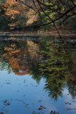 Beebe pond