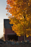 Evening barn