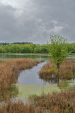 Great Meadows culvert