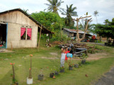 Desa Malang Rapat. village urchins.