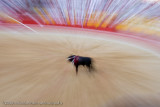 Bullfight in Pamplona