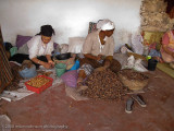 110Making Argone Oil.jpg