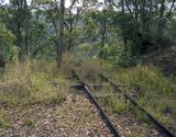 Tracks to Nowhere
