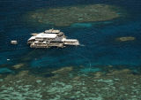 Reef Base