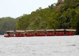 Daintree River Train