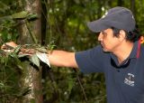 Chris Explains the Rainforest