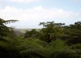 Daintree River Meets the Coral Sea
