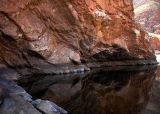 Water Hole