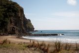Piha Beach