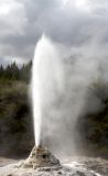 Thar she blows