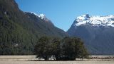 Knobs Flat