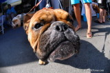 June8_08_046.JPG