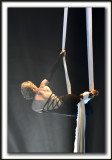  DANIELLE BEAUDOIN - TISSUS ARIEN  /  AERIAL SILK   _MG_3606a