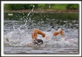 _MG_0800a Fran Crippen