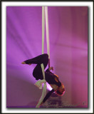  DANIELLE BEAUDOIN - TISSUS ARIEN  /  AERIAL SILK   _MG_3540a