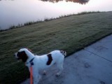Looking closer at 16 pond