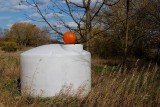 The Festive Watertank