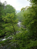 P1050541 river.jpg