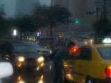 P9282026.jpg
