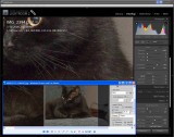Color Noise: Adobe LR/ACR vs QImage
