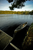 Algonquin Provincial Park 12