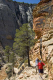 20080613 Zion2 085 copy.jpg