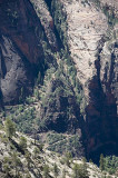 20080613 Zion2 121 copy.jpg