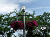 Lightpole in Riverfront Park. Spokane, Wa. (TW).jpg