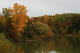 Autumn on the Pond