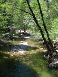 The Tuolumne river