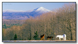 Whiteface Mt. As Seen From Route 86 And The  Hamlet Of Gabriels