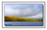 Autumn In The Hills Along Brewer Lake