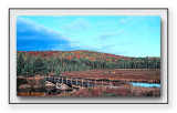 Spruce Bog Boardwalk